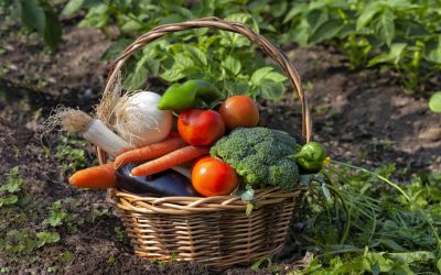 Buscamos Buenos Pueblos con Buenos Alimentos para celebrar la Feria de la Tapa de García Baquero