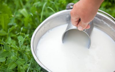 ¿Cómo contribuye la industria láctea a la repoblación rural?