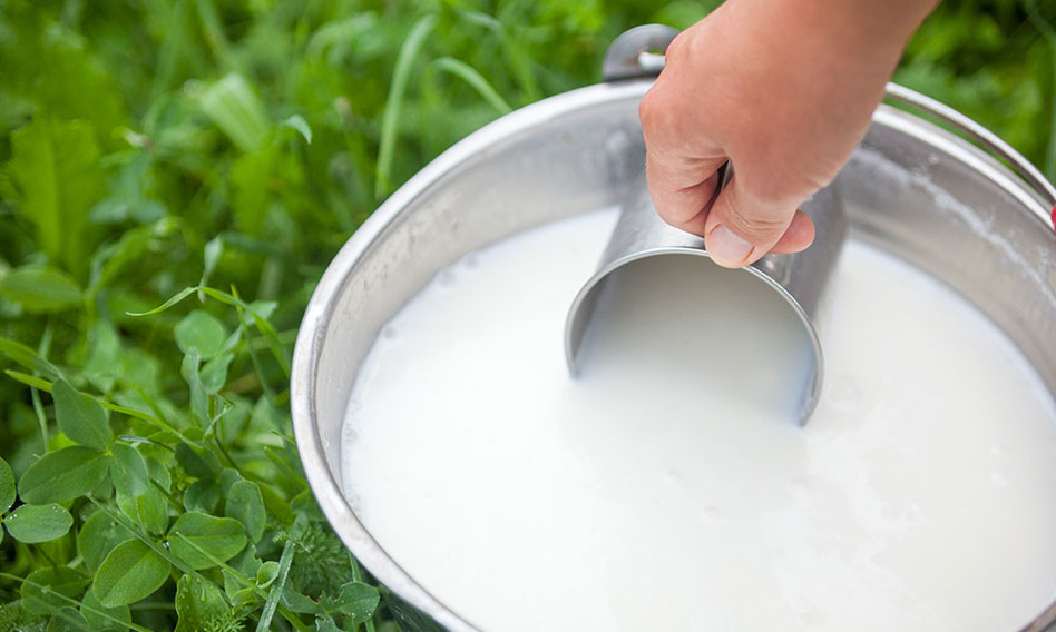 ¿Cómo contribuye la industria láctea a la repoblación rural?