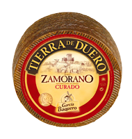 _0011_ZamoranoCurado Zamorano TIerra del Duero