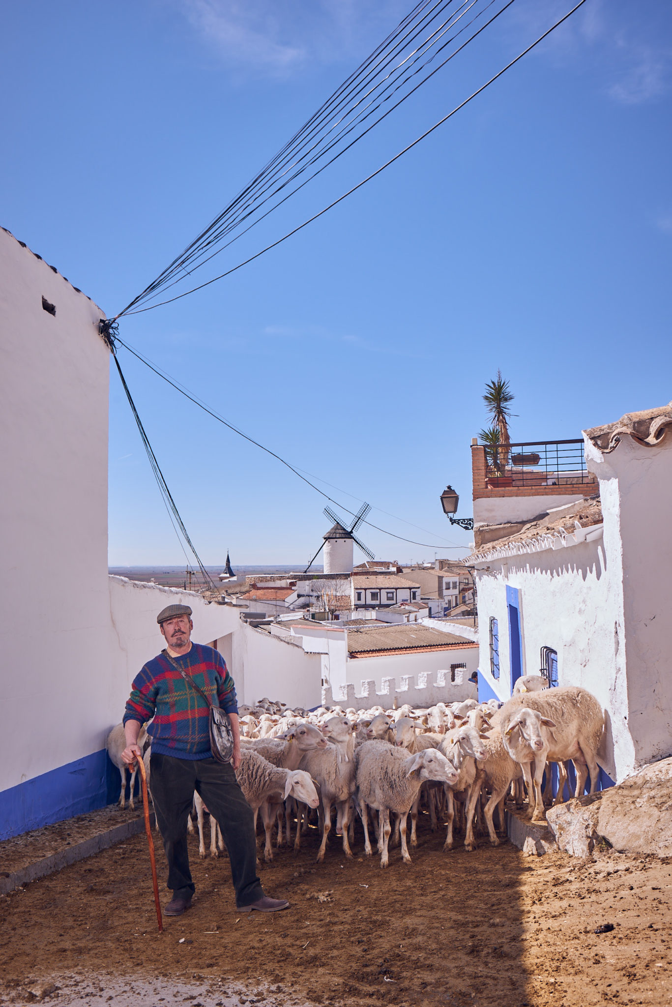 El pastor de Fuentelobueno  cuida la buena tierra. Y en su pastoreo empieza el secreto del buen queso  de García Baquero