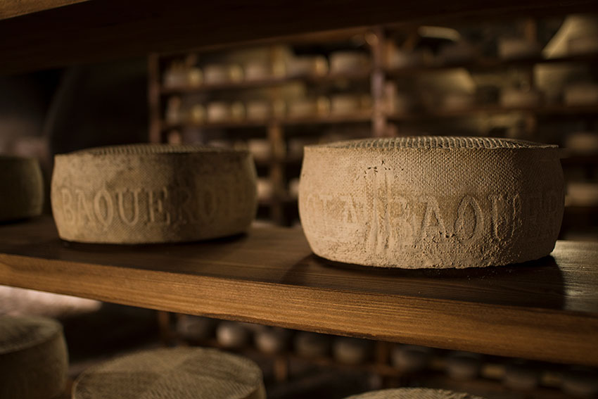 El afinado del queso donde florece la corteza natural enmohecida de quesos como POK y Las Cavas, Barus y Artés García Baquero