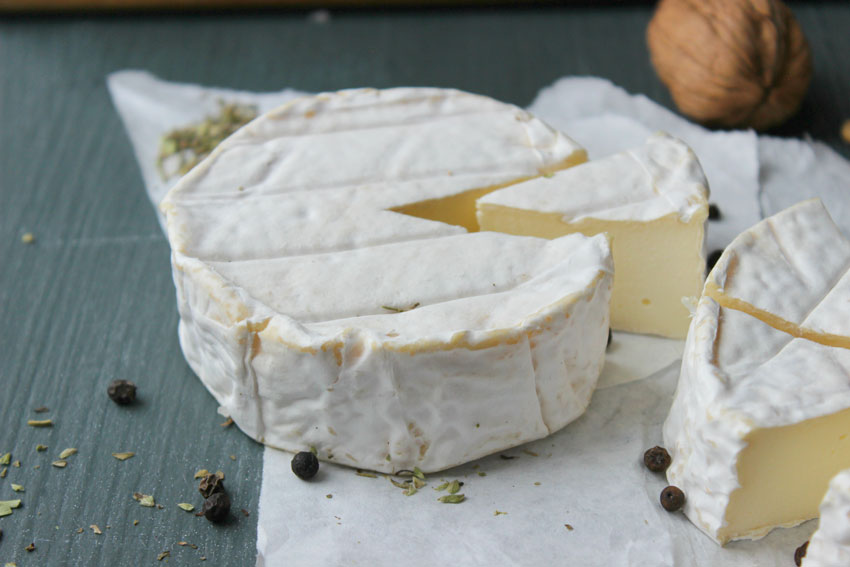 Quesos internacionales: el queso Camembert, un placer glamuroso de Normandía con pasta dulce y aroma afrutado y puro