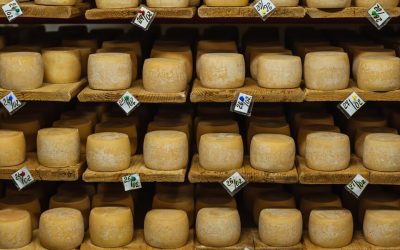 El queso: el secreto para prolongar la vida y acelerar el metabolismo