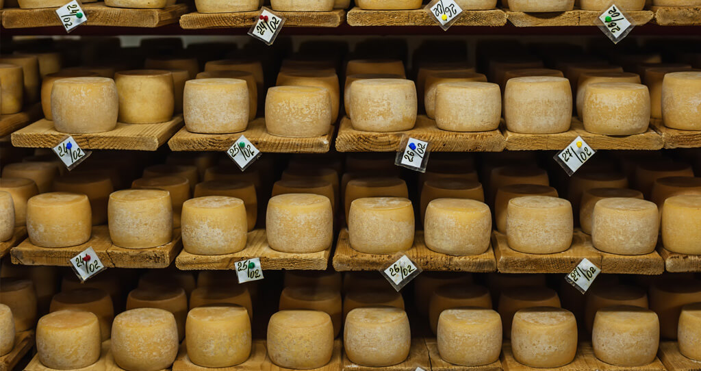 El queso: el secreto para prolongar la vida y acelerar el metabolismo