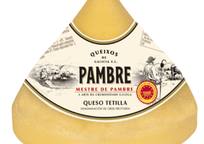 Protegido: 03102 PAMBRE TETILLA Pieza de queso 600g